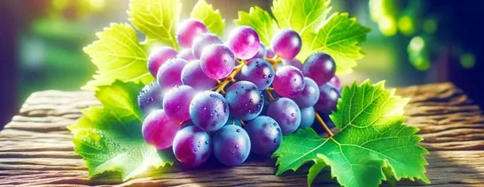 Cカップのチャットレディ一覧ページのヘッダー画像